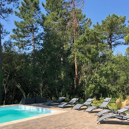 Piscine Chauffée&jardin - Centre 5 Min - 10 Min - Ménage Villa