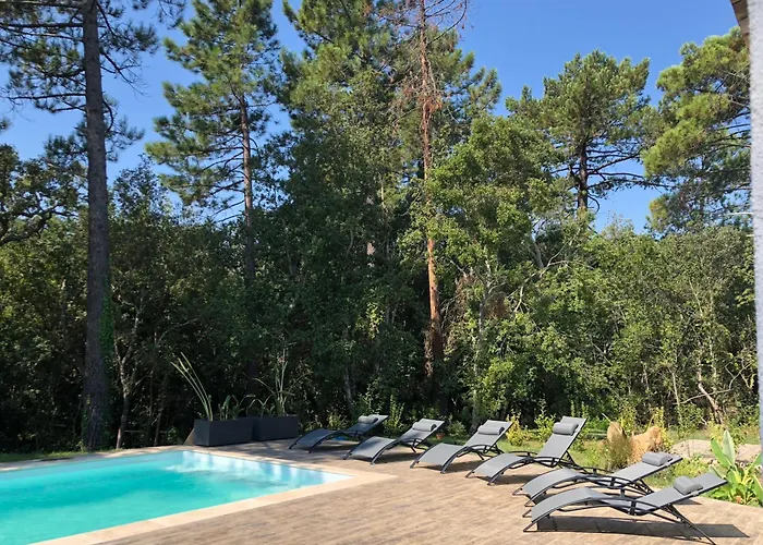 Piscine Chauffée&jardin - Centre 5 Min - 10 Min - Ménage Villa